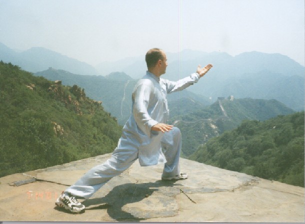 Taiji Damo