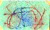 Plan de Formaci�n en Biometr�a