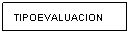 Cuadro de texto: TIPOEVALUACION
