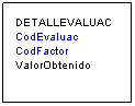 Cuadro de texto: DETALLEVALUAC
CodEvaluac
CodFactor
ValorObtenido
&nbsp;
