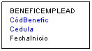 Cuadro de texto: BENEFICEMPLEAD
C�dBenefic
Cedula
FechaInicio
&nbsp;

