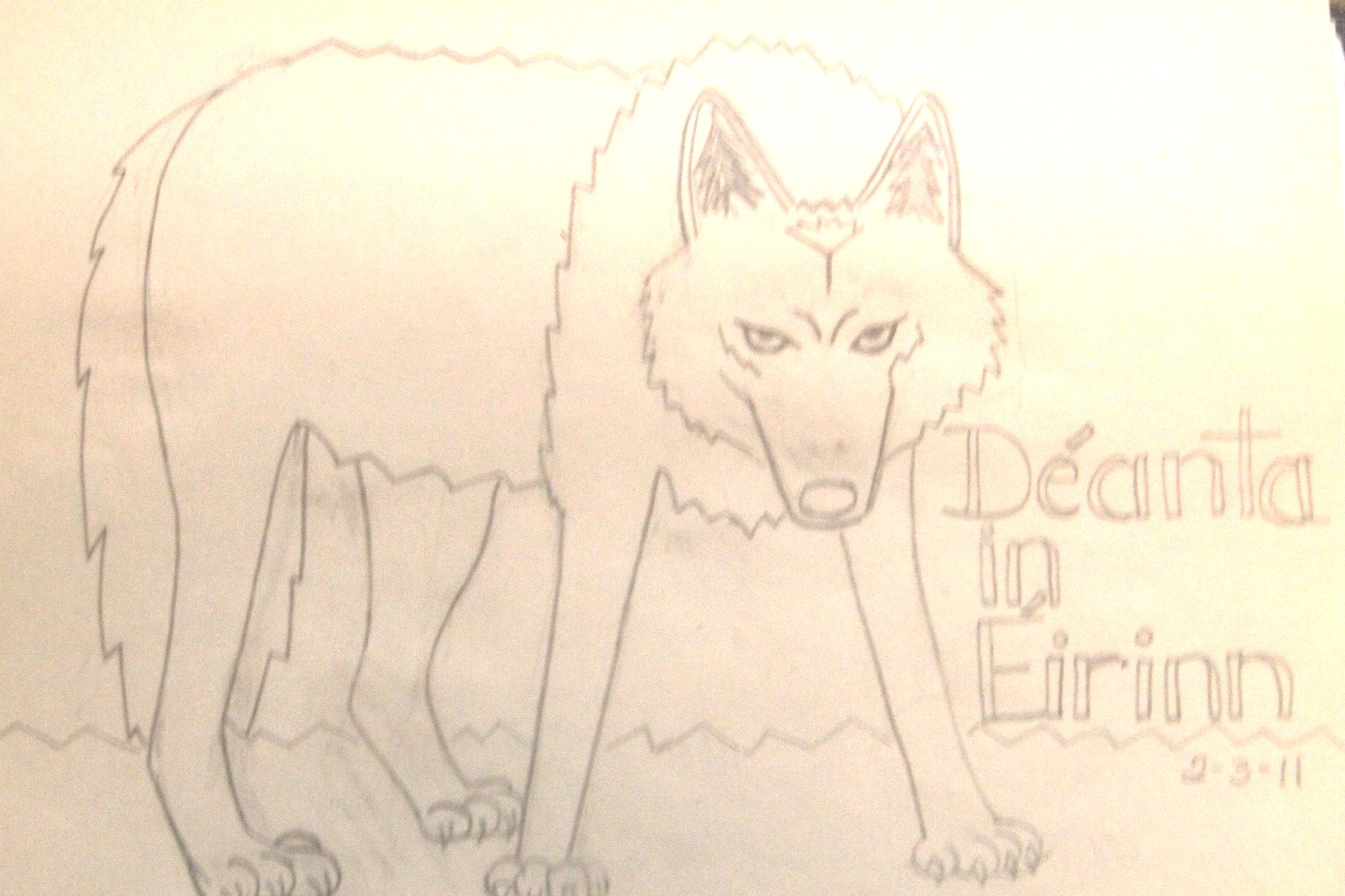 A sketch of a wolf that was later used as the basis for a painting.