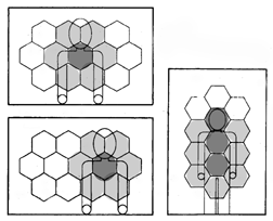 14-segment-overlay-gray-subjects.gif