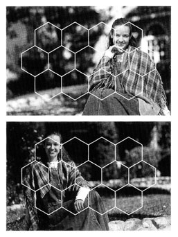 14-segment-overlay-real-subject.jpg