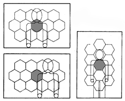 spot-metering-overlay-gray.gif