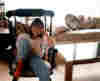 peterblaise-old-rockin-chair-s-got-me-th.jpg