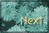 Click Here For The Next May 2000 Baby Site