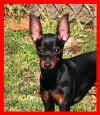 Abby