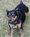Alix