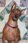 Annie