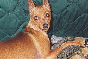 Deedee
