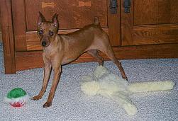 Dukie