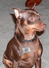 Maggie