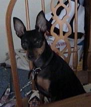 Doreene