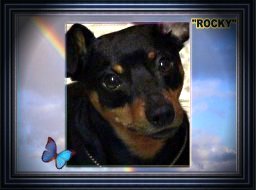 Rocky