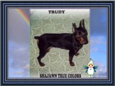 Trudy