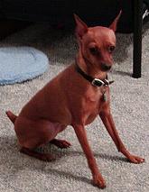 Wanda