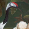 gar�as, 27x22cm, 24Kb