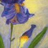 l�rios, 18x24cm, 27Kb