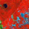 Peixe vermelho, 30x24cm, 31Kb