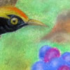 Bird in the forest, 24x30cm, 59Kb