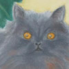Fluffy,30x42cm, 35Kb