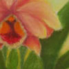 Orquidea, 30x21cm, 33Kb