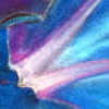 Trepadeira azul, 24x30cm, 80Kb