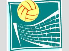 Ejemplo voleibol