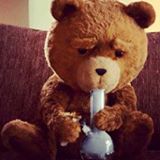 oso ted 