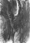 El rostro de hermafrodita