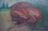 cervatillo