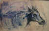 Caballo desbocado