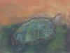 la tortuga es una isla.