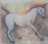 unicornio.