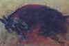 uro