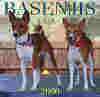 basenji4.jpg (16916 bytes)