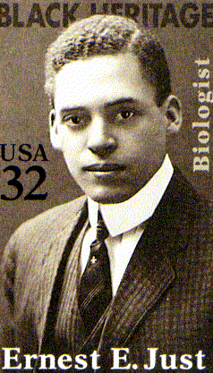 Ernest E. Just