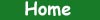 Navigation element linking to the home page