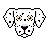 Pawtraitz (Dalmatian)