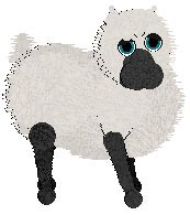Sheep