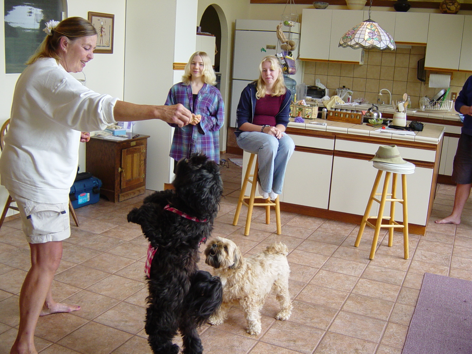 My sister and I at Susanella's house to see her Champion Tibetan Terrier "Buckaroo" with his sidekick Goucho.