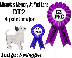 CZPKC: Conformation - 4 Major Points
