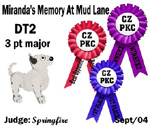 CZPKC: Conformation - 3 Major Points