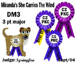 CZPKC: Conformation - 3 Major Points