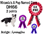CZPKC: Conformation - 2 minor points