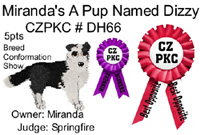 CZPKC: Breed Conformation - 5 Points