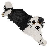 Dizzy