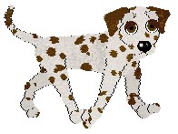 Duke
