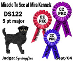 CZPKC: Conformation - 5 Major Points